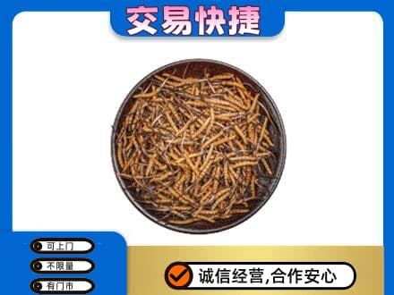 保定市礼品回收虫草.jpg